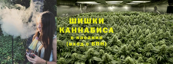 гидра Осинники