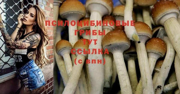 метадон Абаза