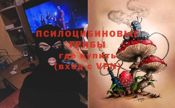 сатива Переславль-Залесский