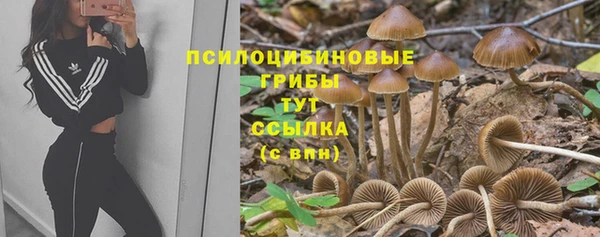 не бодяженный Абдулино