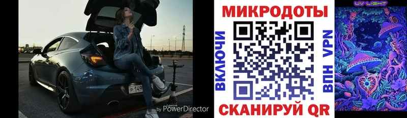 наркота  Яранск  Галлюциногенные грибы Psilocybine cubensis 