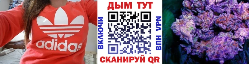 сайты даркнета как зайти  как найти закладки  Яранск  Канабис тримм 